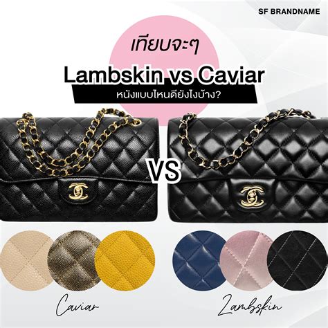 Lambskin vs Caviar: Chanel Leather Gui